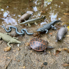 Safari Ltd. Everglades TOOB Alligator figure supports tactile play and ecosystem role exploration