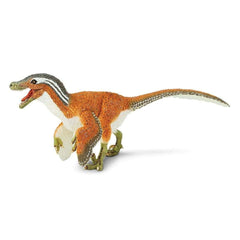 Safari Ltd Velociraptor educational display promotes curiosity and learning.