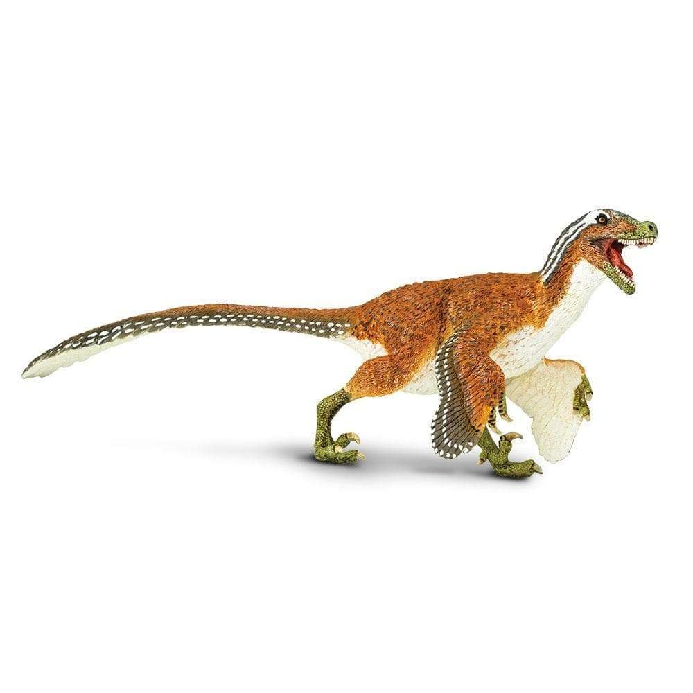Safari Ltd Feathered Velociraptor front view for imaginative play and display.