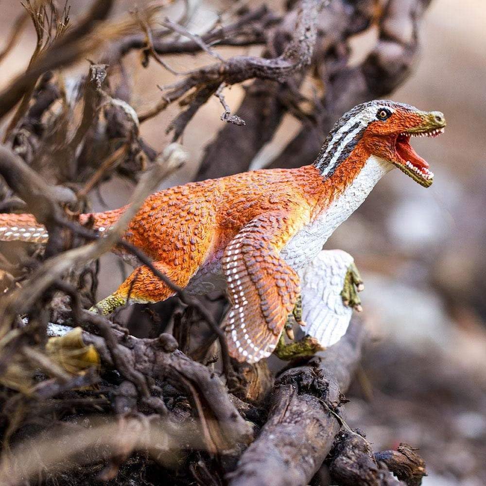 Safari Ltd Velociraptor side pose supports hands-on exploration and storytelling.
