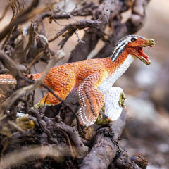 Safari Ltd Velociraptor side pose supports hands-on exploration and storytelling.