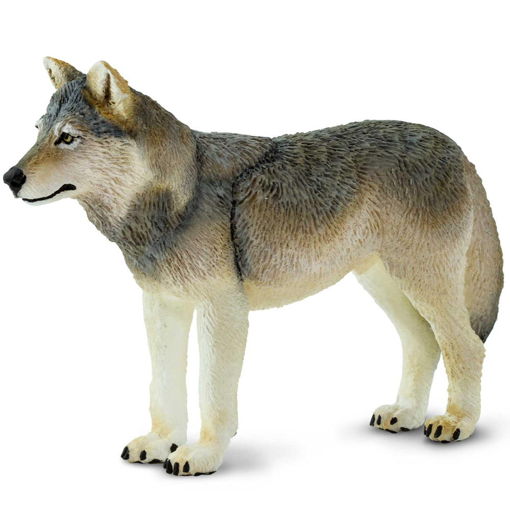 Safari Ltd. Gray Wolf Figurine, full view at 4 inches, ideal for imaginative play.