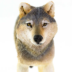 Safari Ltd. Gray Wolf Figurine educational toy for North American wildlife learning.