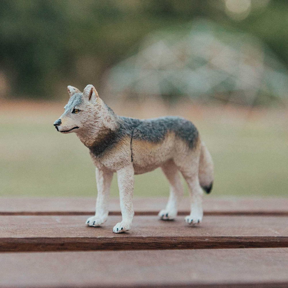 Safari Ltd. Gray Wolf Figurine side profile highlights natural stance for storytelling.