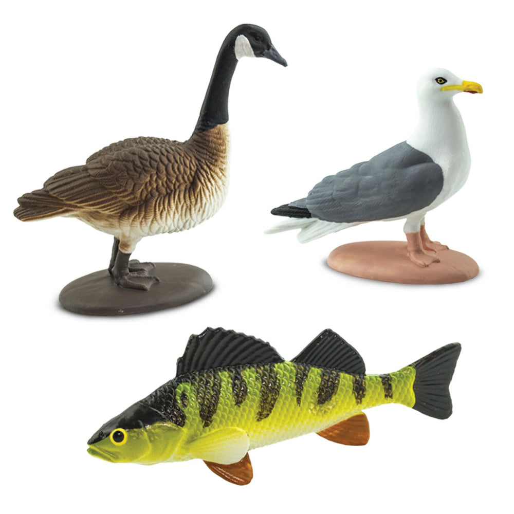 Safari Ltd Great Lakes TOOB herring gull figure for coastal ecosystems insight.