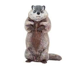 Safari Ltd groundhog detail paintwork showcases natural tones ideal for classroom displays.