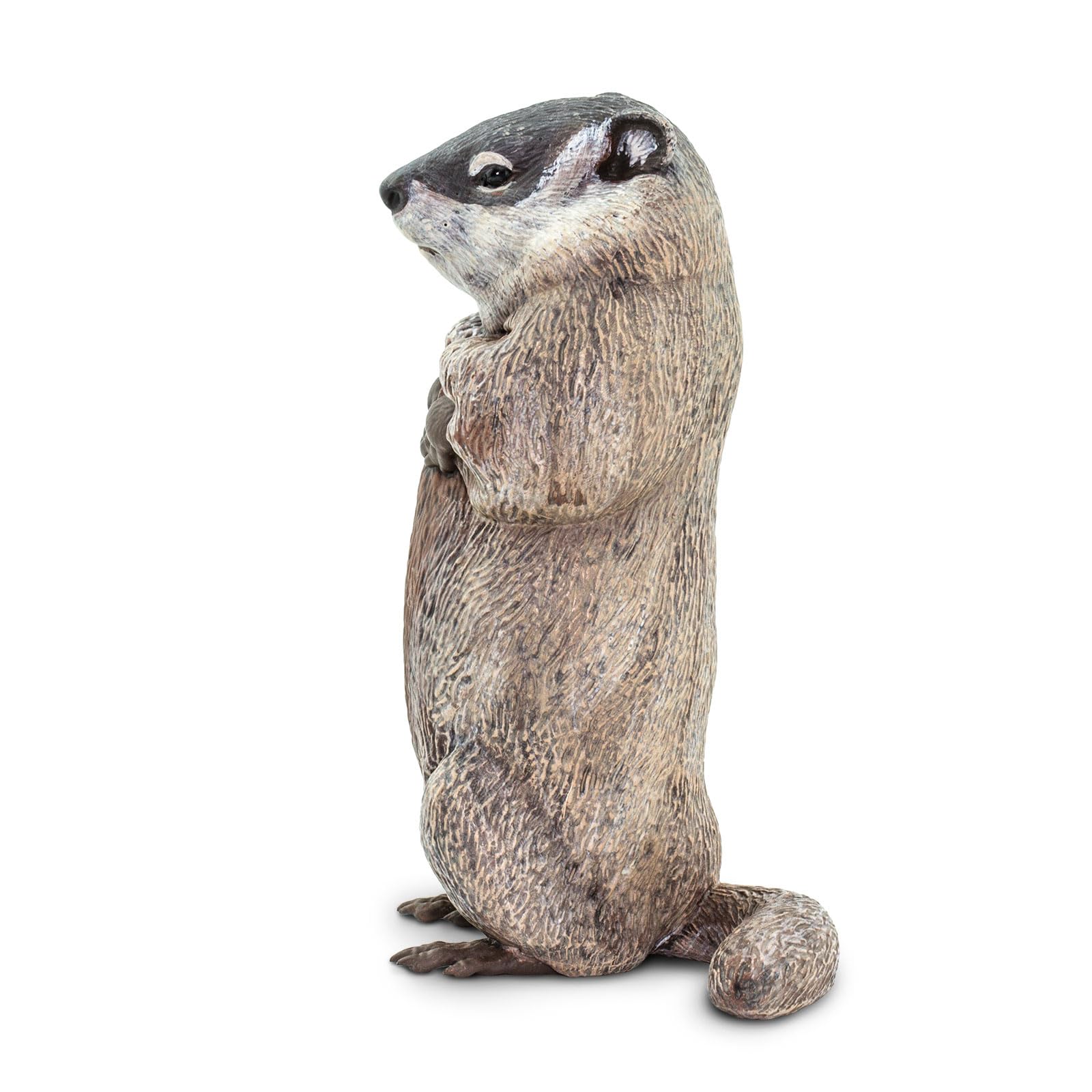 Safari Ltd groundhog hand-painted texture adds tactile realism during pretend play.