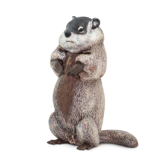 Safari Ltd groundhog miniature figure with hand-painted detail for immersive animal study.