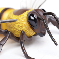 Safari Ltd Honey Bee figurine in classroom setting for learning