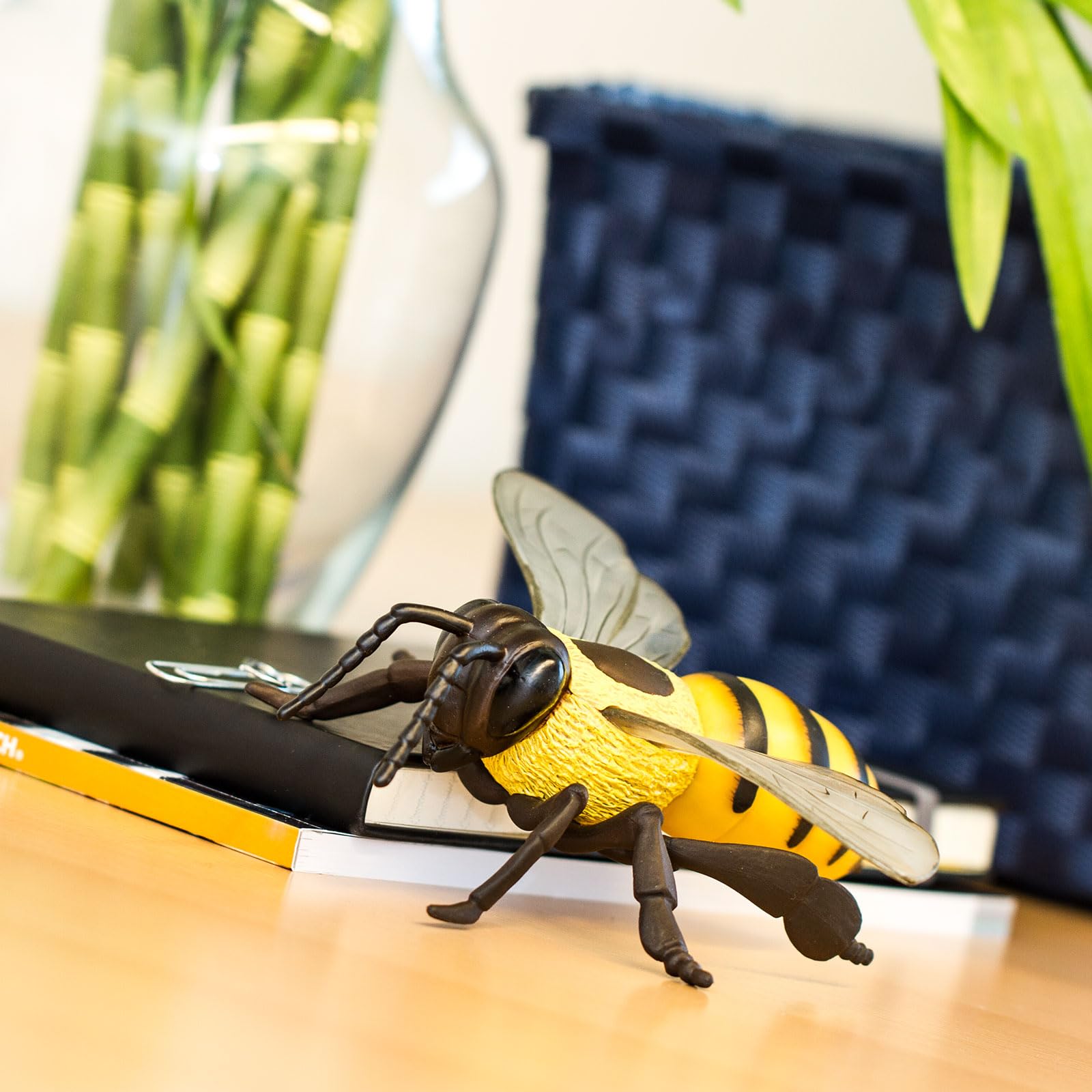 Safari Ltd Honey Bee figurine on desk display to spark curiosity