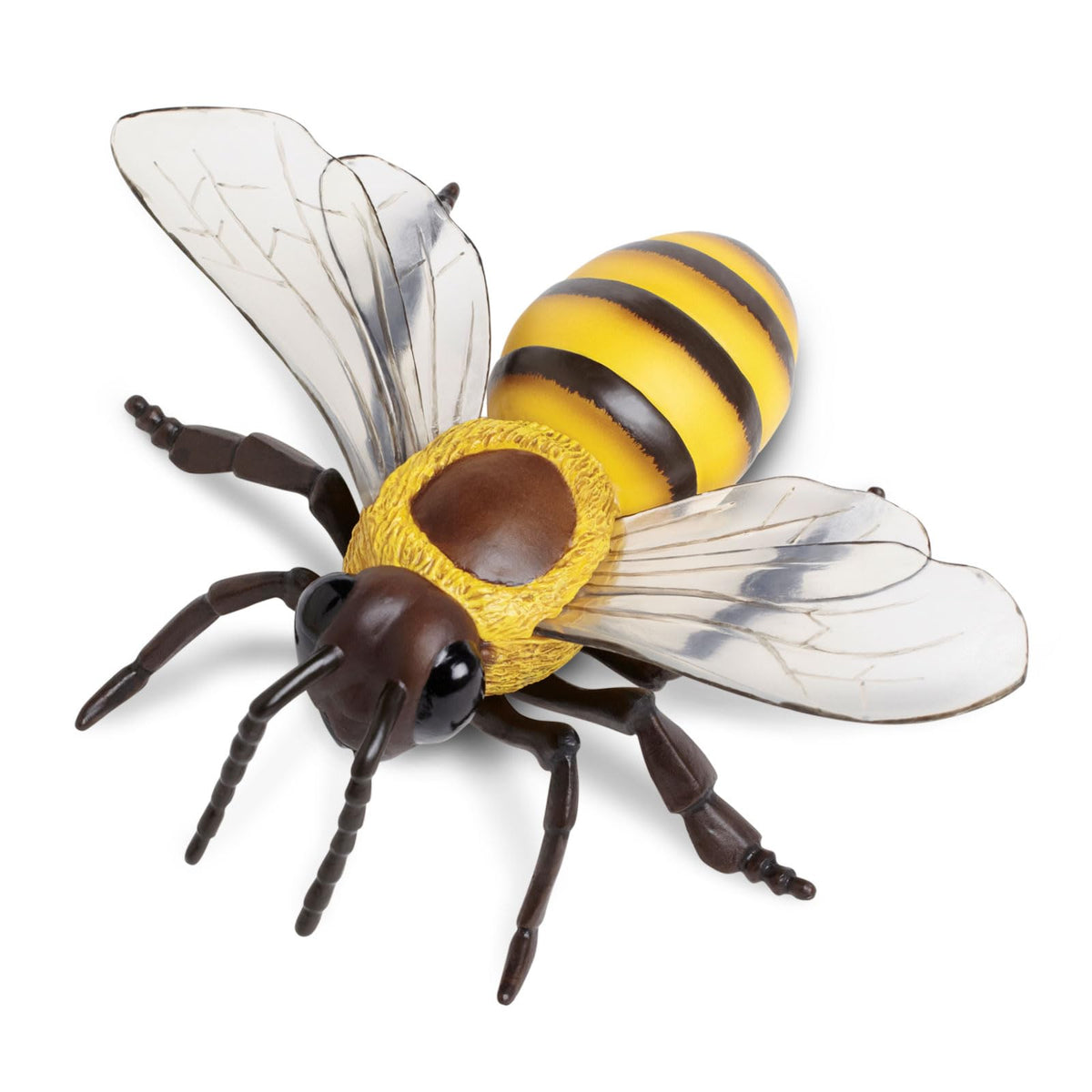 Safari Ltd Honey Bee figurine head detail for realism and study