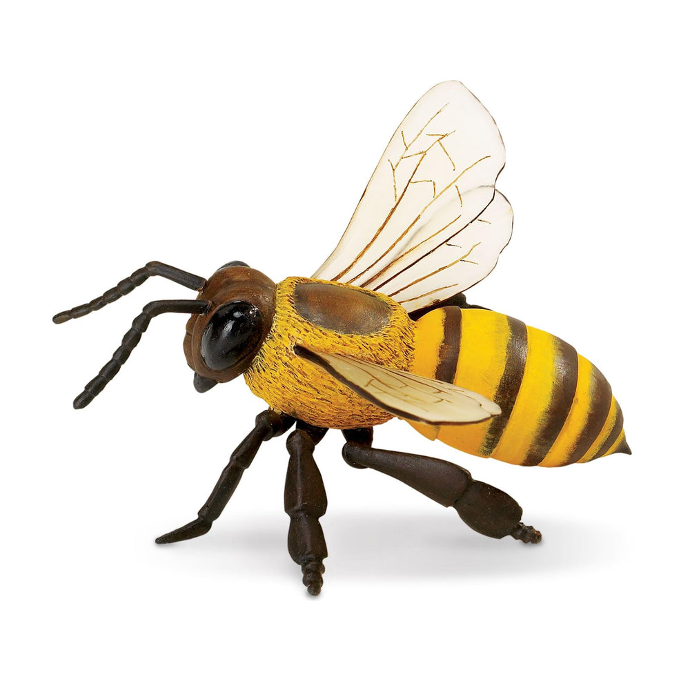 Safari Ltd Honey Bee figurine packaging ready for gifting or classroom
