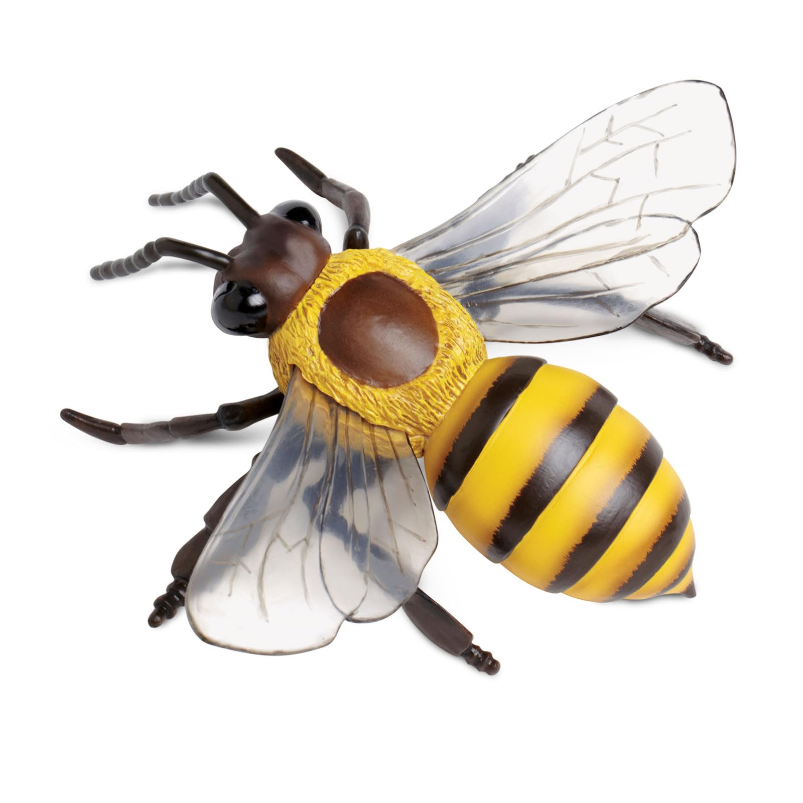 Safari Ltd Honey Bee figurine detailed stripes texture and craft