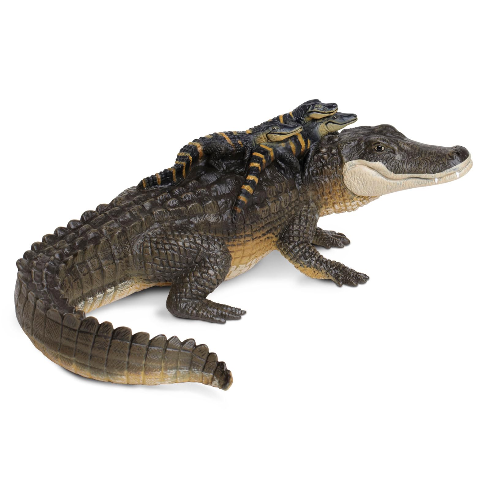 Safari Ltd Incredible Creatures alligator – educational display piece for classrooms and shelves.