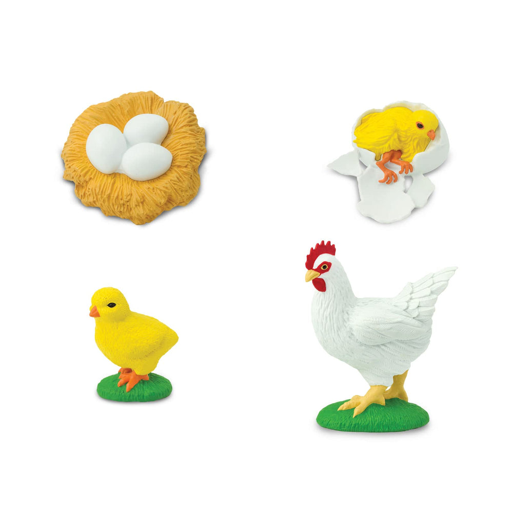 Safari Ltd Life Cycle of a Chicken hatchling figurines support interactive learning.