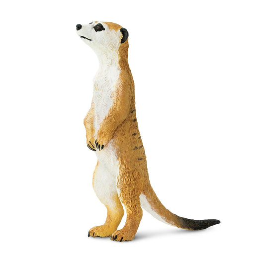 Safari Ltd meerkat figurine front view shows lifelike pose for classroom displays.