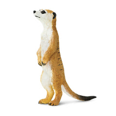 Safari Ltd meerkat figurine front view shows lifelike pose for classroom displays.