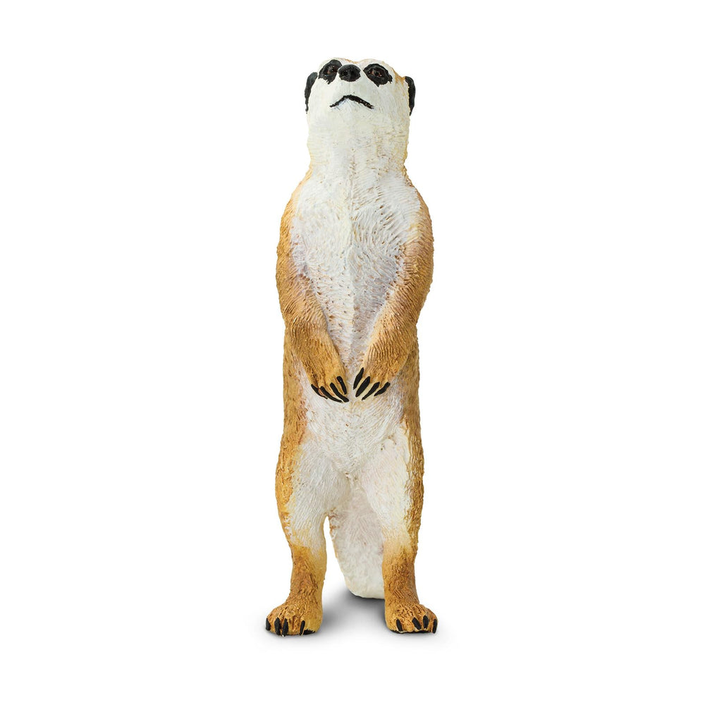 Safari Ltd meerkat figurine side view, compact figure ideal for hands-on learning.