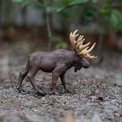 Safari Ltd Moose figurine in classroom scene supports hands-on wildlife education
