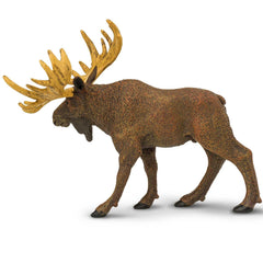 Safari Ltd Moose figurine on display shelf invites collection and decor