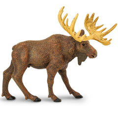 Safari Ltd Moose figurine front view for classroom display