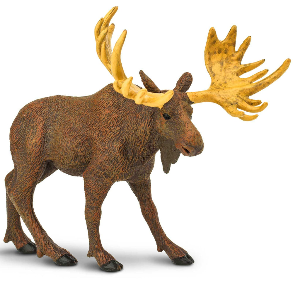 Safari Ltd Moose figurine with hangtag visible aids fact-based exploration