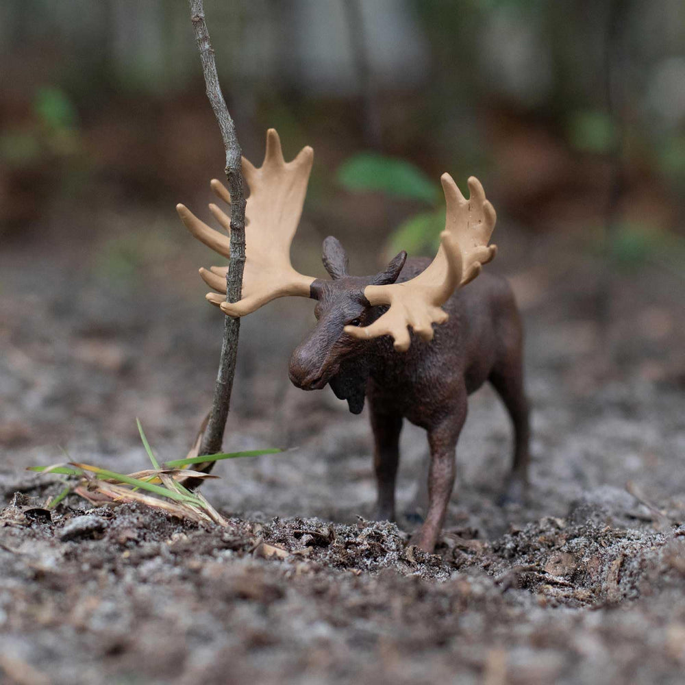 Safari Ltd Moose figurine side view ideal for imaginative play
