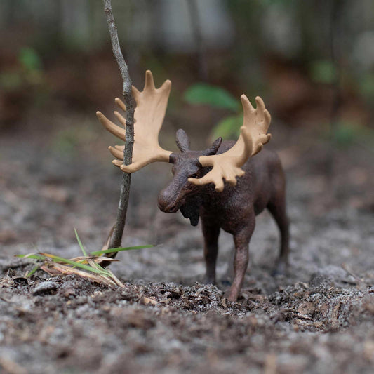 Safari Ltd Moose figurine side view ideal for imaginative play