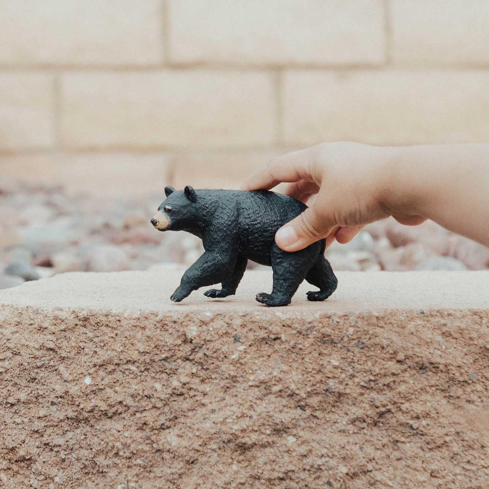 Safari Ltd. North American Black Bear figurine detail shot emphasizes claws and snout.