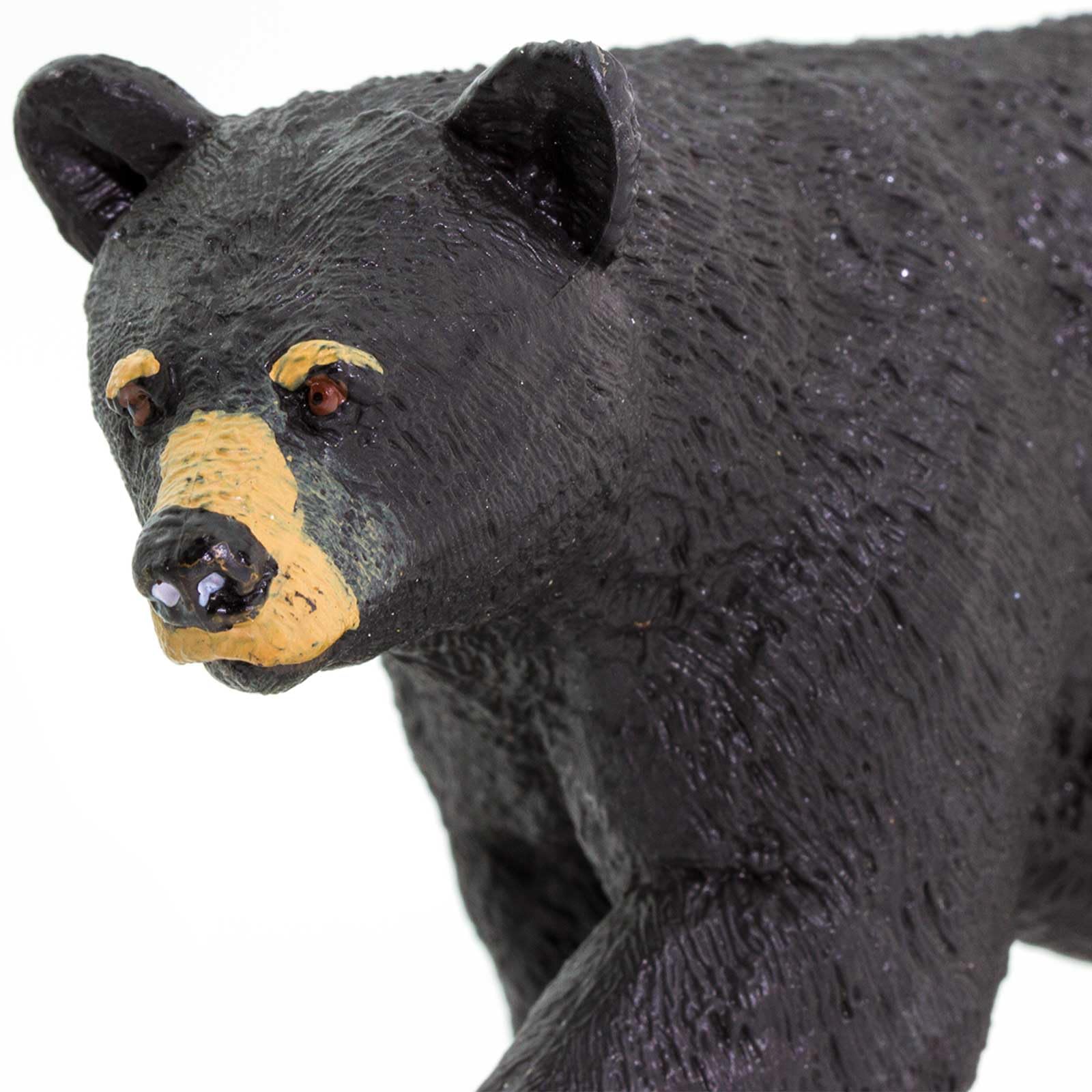 Safari Ltd. North American Black Bear figurine in a display setting for classrooms.