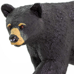 Safari Ltd. North American Black Bear figurine in a display setting for classrooms.