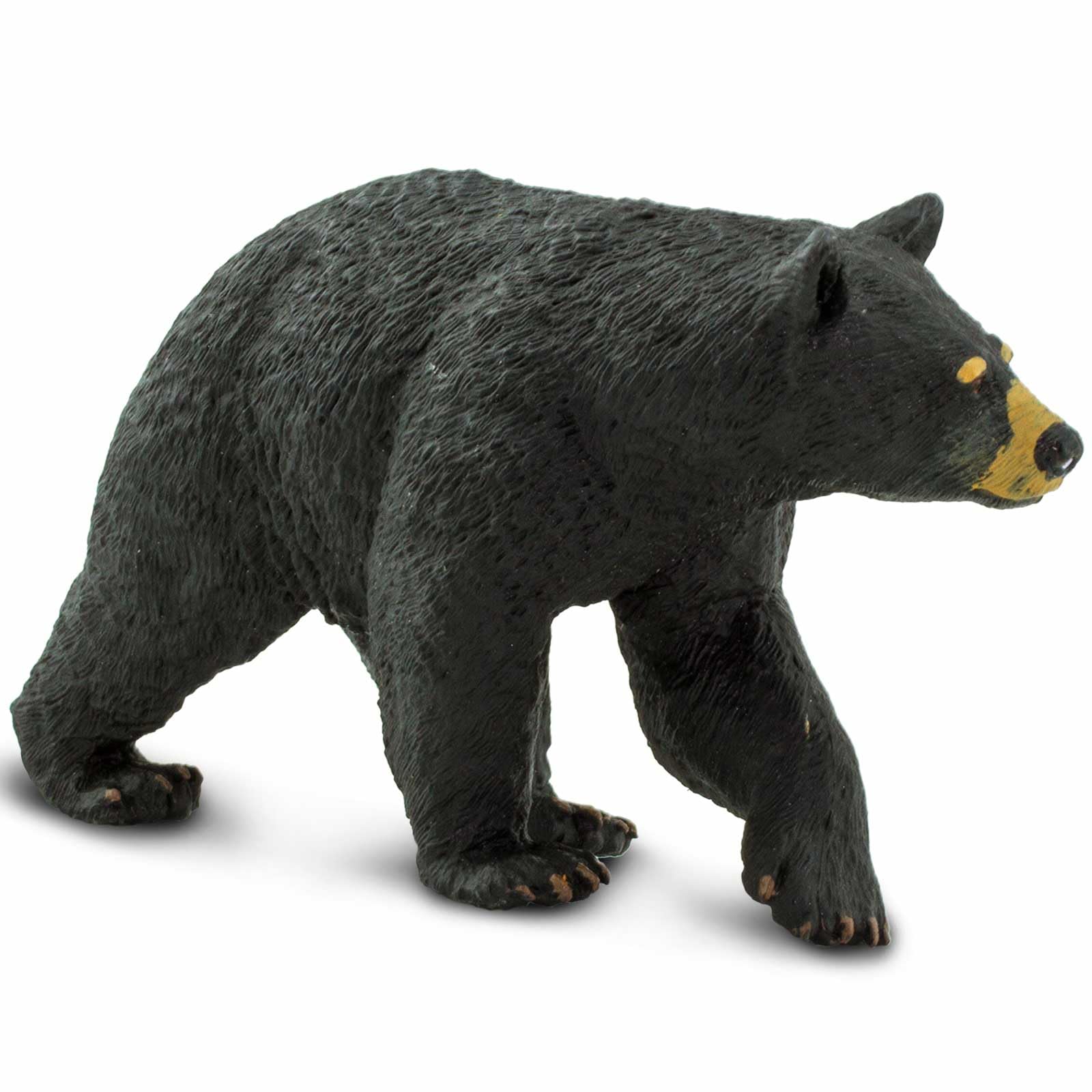 Safari Ltd. North American Black Bear figurine showing safe durable PVC construction.