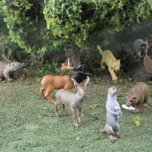 Safari Ltd North American Wildlife TOOB grizzly bear figure enhances storytelling and geography exploration