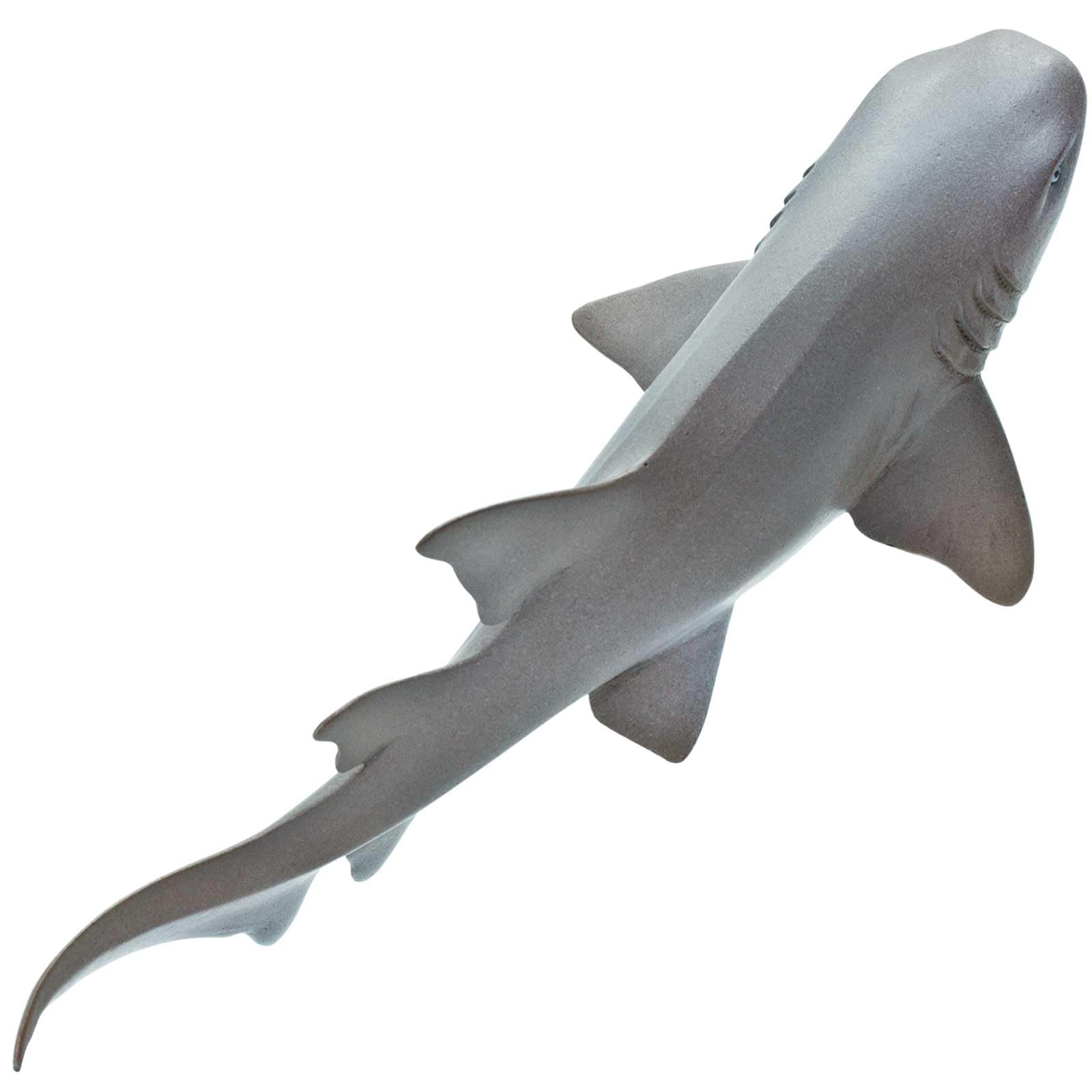 Safari Ltd Nurse Shark figurine 5.5-inch size for easy handling during activities