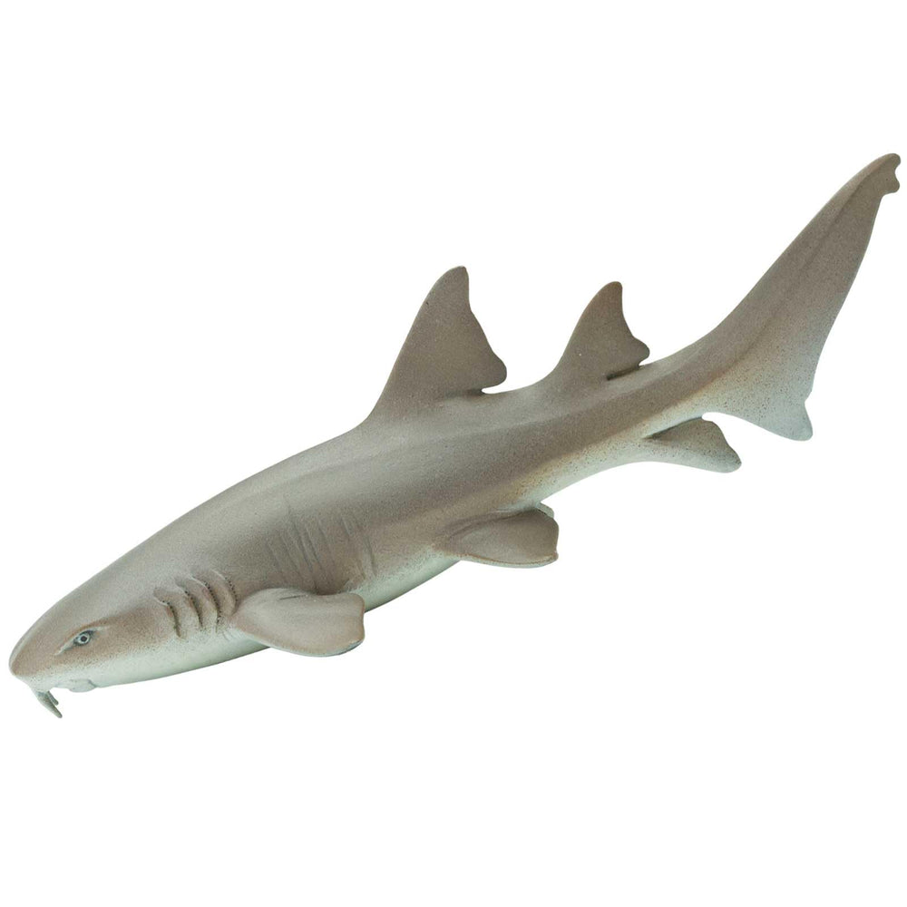 Safari Ltd Nurse Shark figurine catfish-like barbels for hands-on exploration