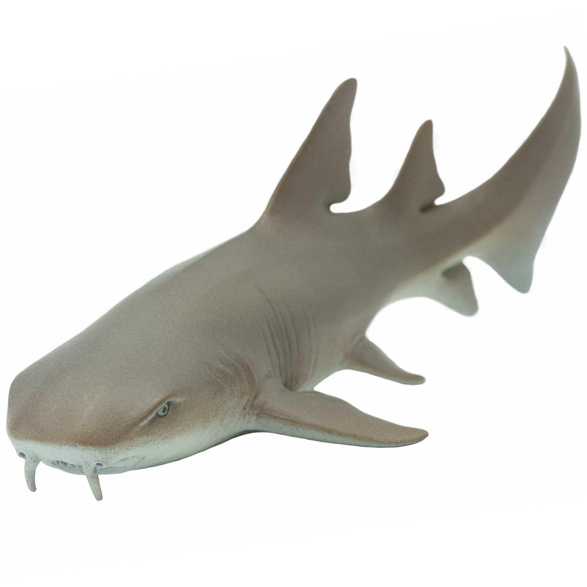Safari Ltd Nurse Shark figurine full body for classroom displays and imaginative play