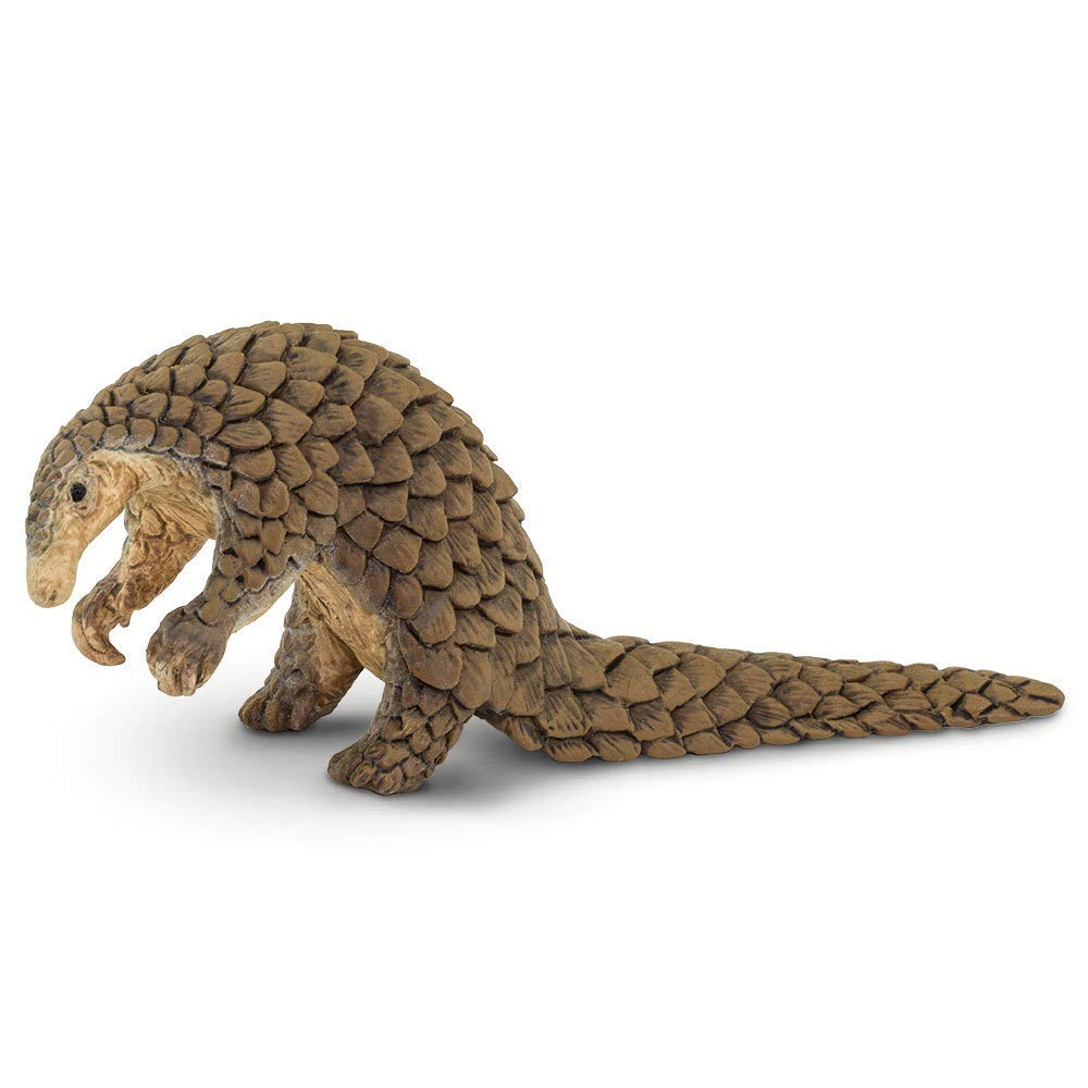 Safari Ltd pangolin armor scales detail; a realistic educational figurine for curious minds.