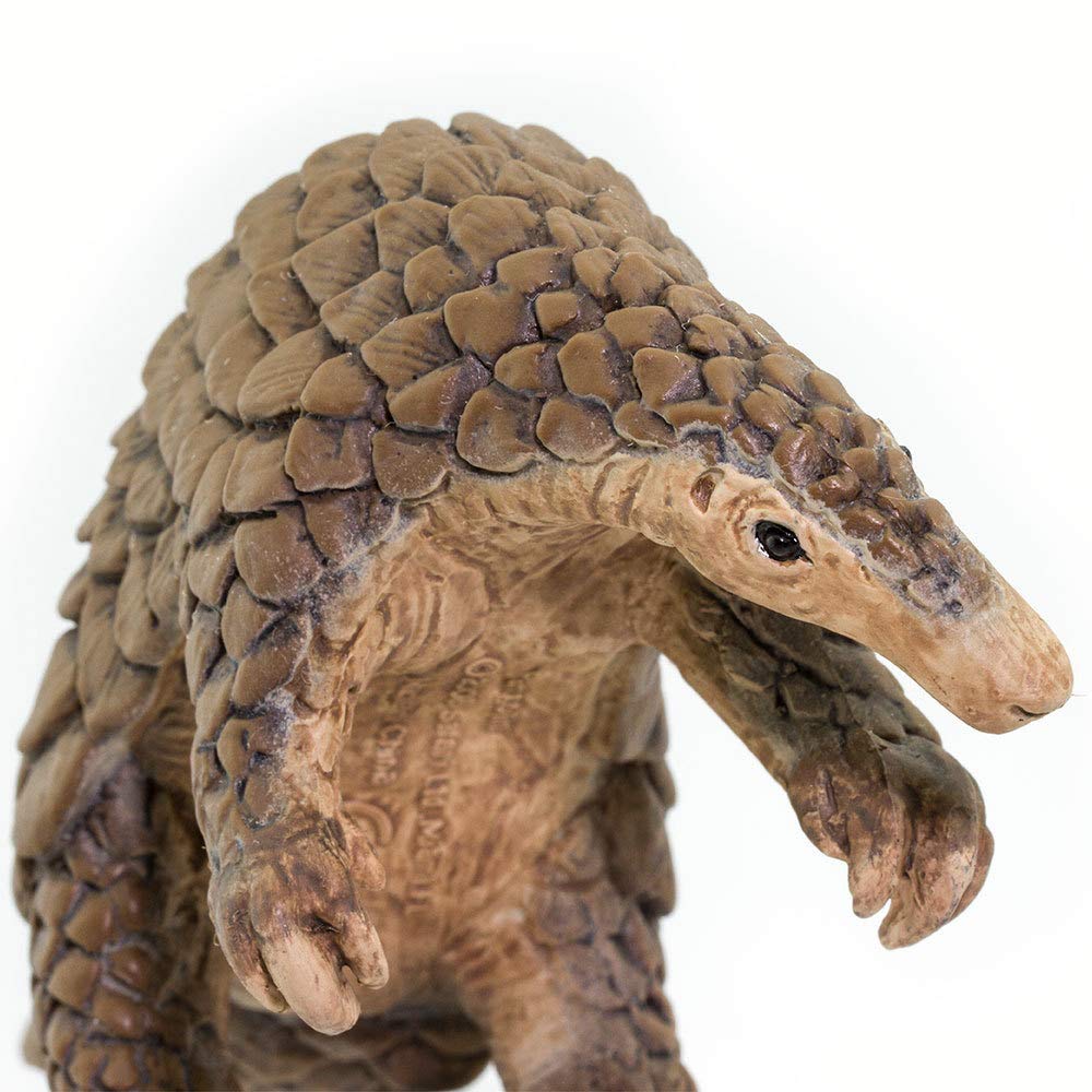 Safari Ltd pangolin with detailed texture; durable, non-toxic toy for ages 3+.