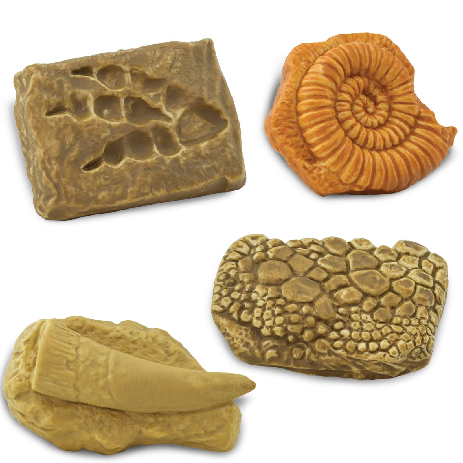 Safari Ltd raptor-claw figurine sparks curiosity during fossil exploration.