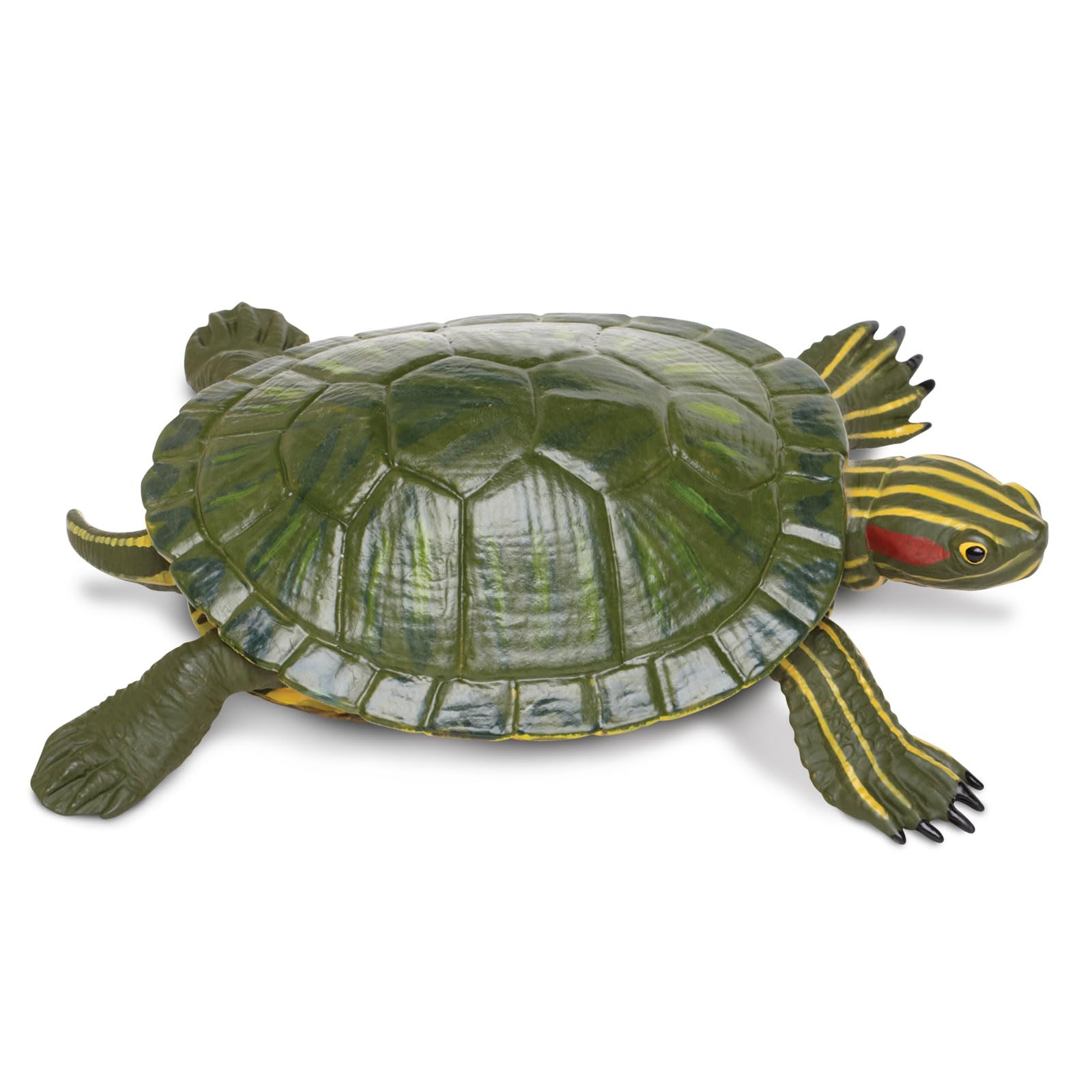 Safari Ltd red-eared slider turtle figurine close-up, ideal for classroom learning and display