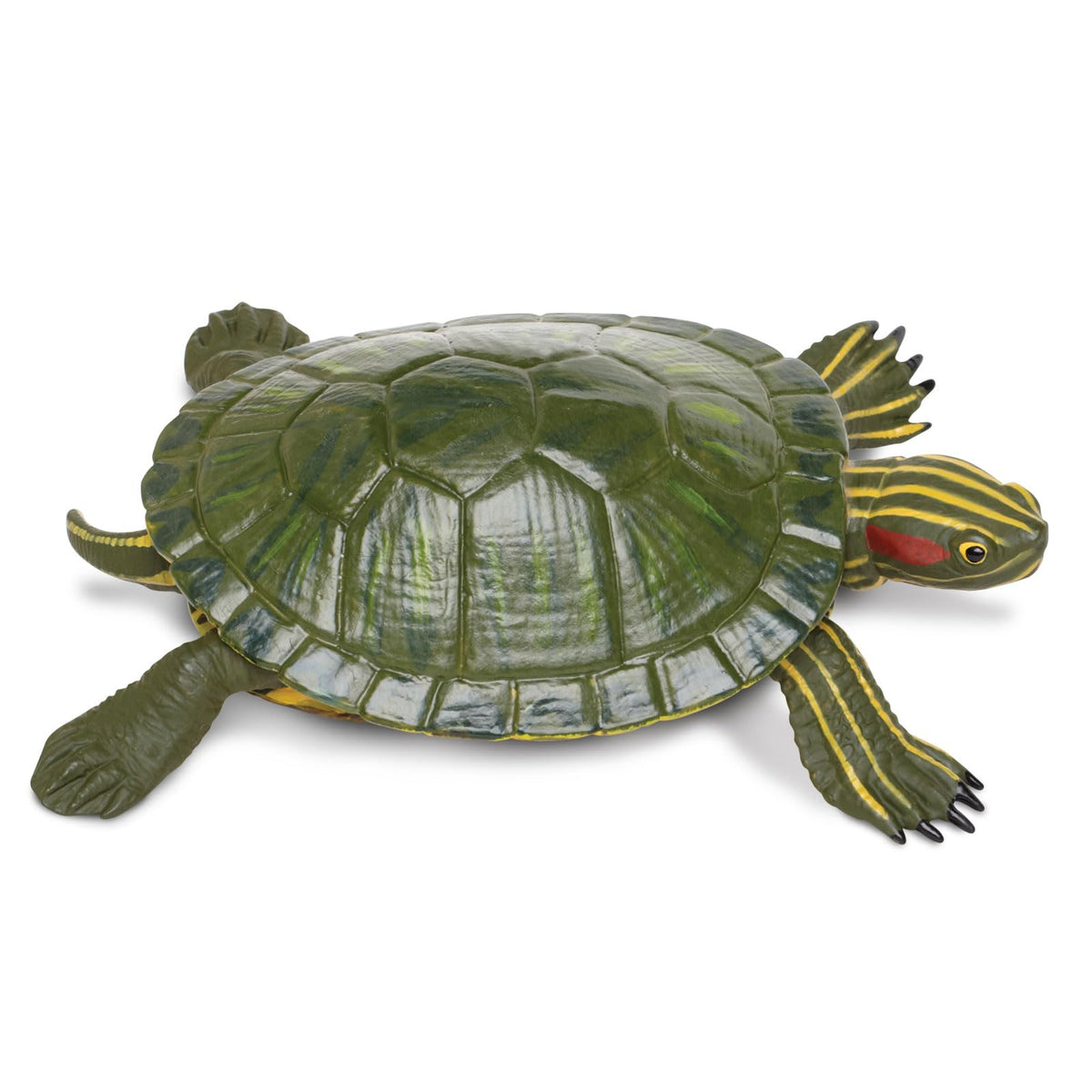 Safari Ltd red-eared slider turtle figurine close-up, ideal for classroom learning and display