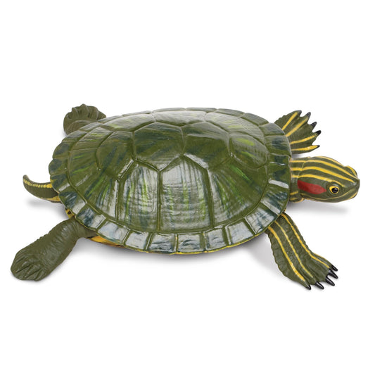 Safari Ltd red-eared slider turtle figurine close-up, ideal for classroom learning and display
