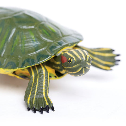 Safari Ltd red-eared slider turtle figurine side-view supports imaginative play and observation
