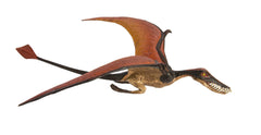 Safari Ltd Rhamphorhynchus figurine shows educational hangtag for multilingual learning.