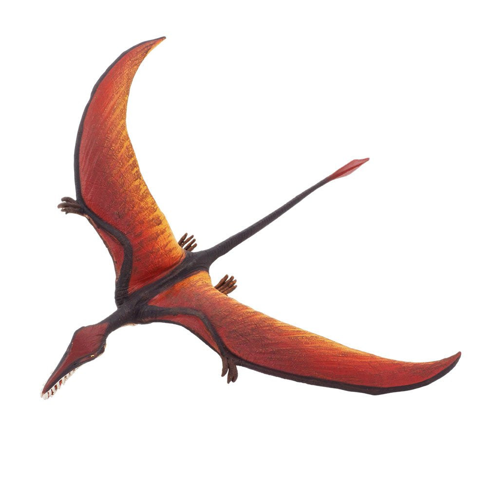 Safari Ltd Rhamphorhynchus figurine highlighting teeth and tail anatomy for science exploration.