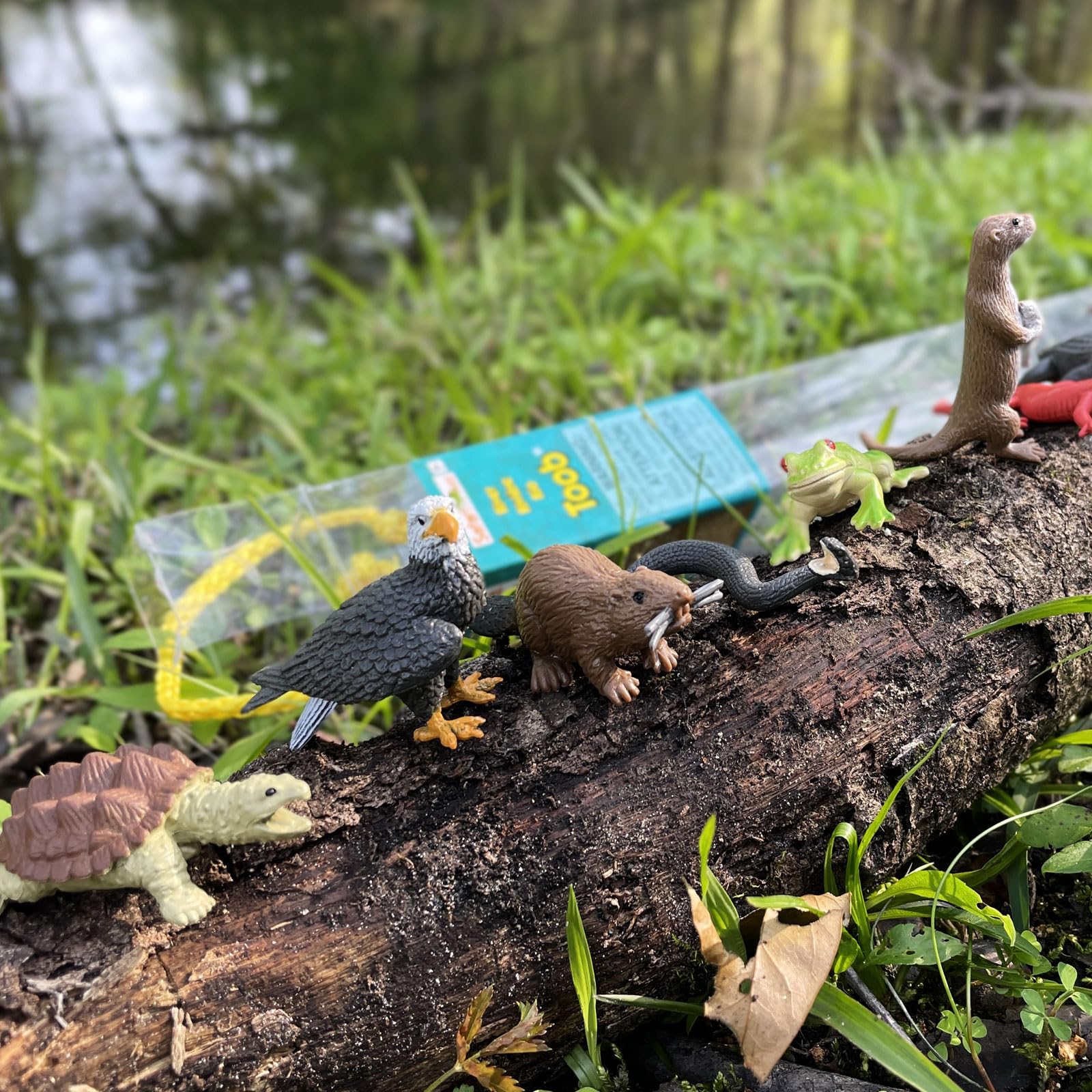 Safari Ltd River Ecosystem Toob beaver figure supports storytelling and habitat exploration for kids