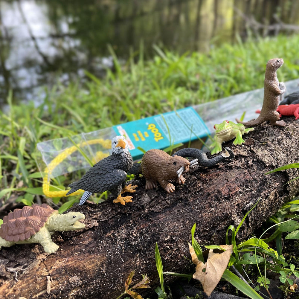 Safari Ltd River Ecosystem Toob beaver figure supports storytelling and habitat exploration for kids
