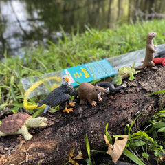 Safari Ltd River Ecosystem Toob beaver figure supports storytelling and habitat exploration for kids