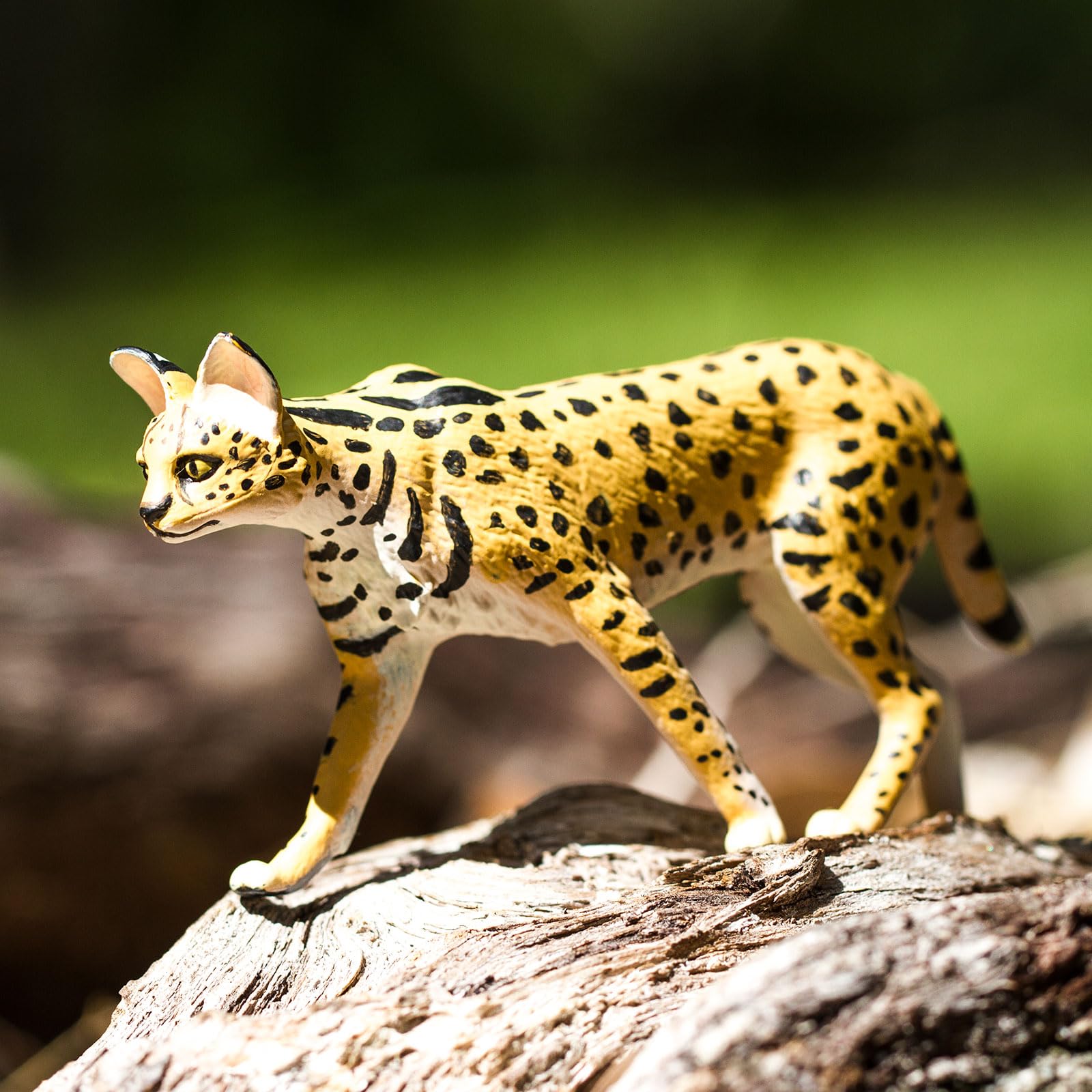 Safari Ltd. Serval display-ready figure enhances shelves, dioramas, and classroom corners.