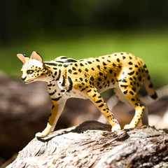 Safari Ltd. Serval display-ready figure enhances shelves, dioramas, and classroom corners.